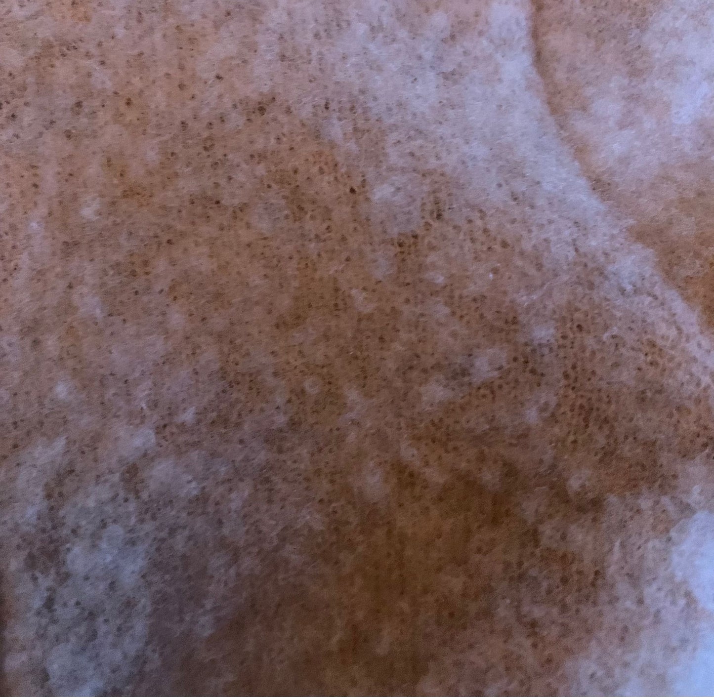 2e kans Novy Wol Beige 50/56